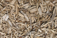 biomass boilers Birchfield